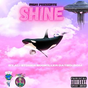 Shine (feat. Ali_Stoner, Budkiller & DatBoiiDom) (Explicit)