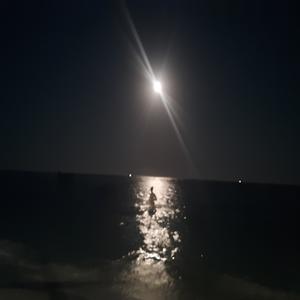 Το τραγούδι του φίλου.