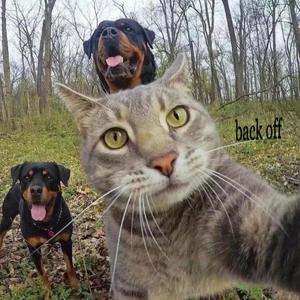 back off (feat. hager) (Explicit)