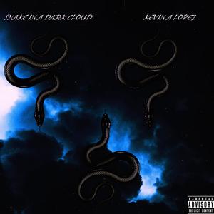 SNAKE IN A DARK CLOUD