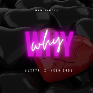 Why (feat. HeshCode) (Explicit)