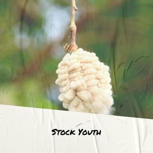 Stock Youth