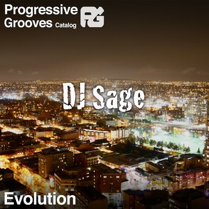 Evolution The Mix (DJ Mix)