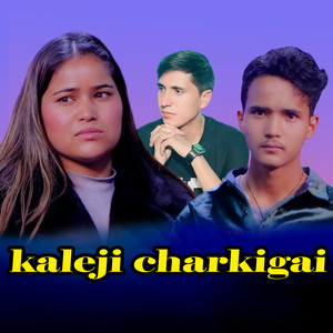 Kaleji Charkigai