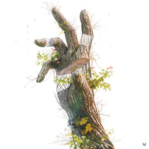 Arboreal Crescendo (Explicit)