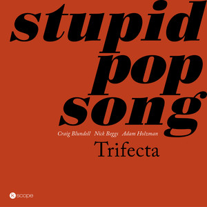 Stupid Pop Song