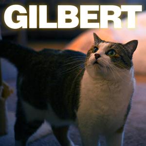 GILBERT (Explicit)