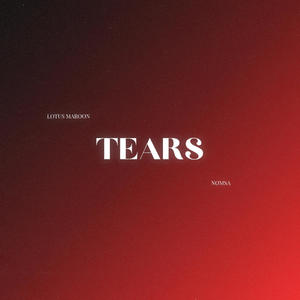 Tears (feat. Nomsa) [Explicit]