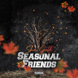 Seasonal Friends (Explicit)