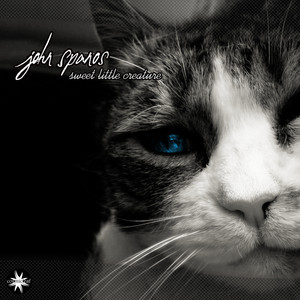 Sweet Little Creature