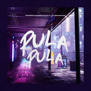 Pula Pula (feat. Mc Lr & DJ João Marconex) (Explicit)