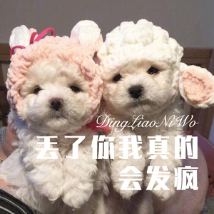 再也不会去丽江 (Remix)封面