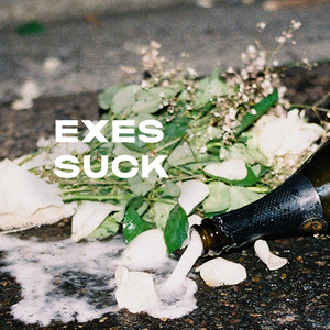 Exes Suck