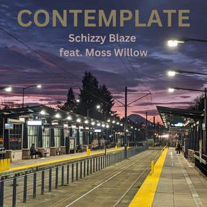 Contemplate (feat. Moss Willow) [Explicit]