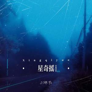 星奇摇 (DJ旋律版)