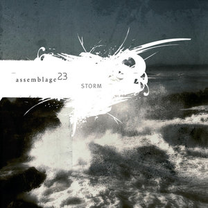 Skin (LP版)