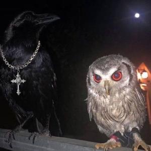 Stay Alive (feat. Lil Wraith) (Explicit)