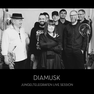 Jungeltelegrafen Live Session