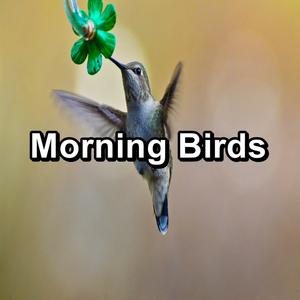 Dreamy Bird Sounds Anti Stress To Help with Relaxing