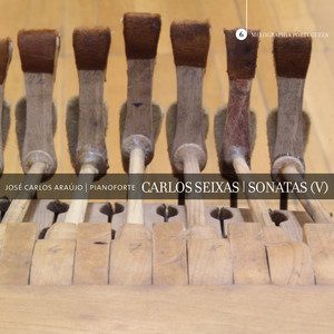 Sonata in D Minor, K. 23 - II. Gigue. Allegro