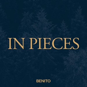 In Pieces