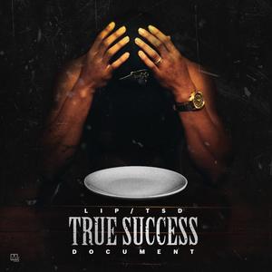 True Success Document (Explicit)