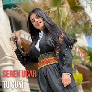 Tu Çuyi