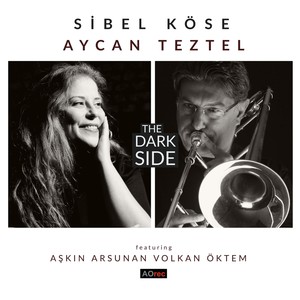 The Dark Side(feat. Aşkın Arsunan & Volkan Öktem) (Explicit)