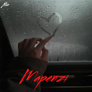 Mapenzi