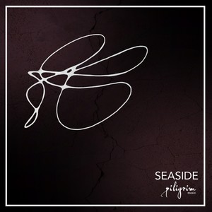 Seaside (SON1C & Studio Deep Remix)