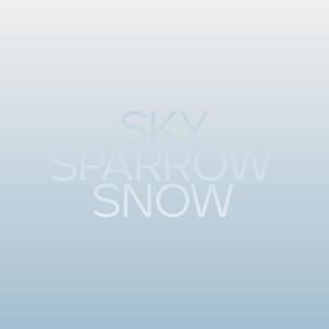 Sky Sparrow Snow