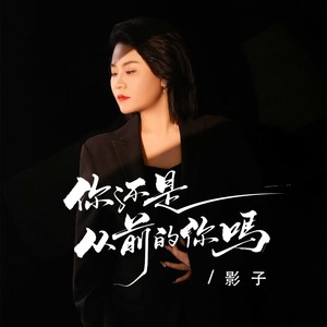 你还是从前的你吗 (动情版)封面