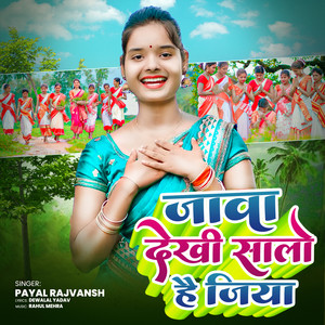 Java Dekhi Salo Hai Jiya