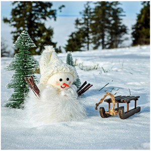 Christmas Celebrities - Snowman