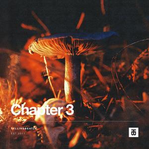 Chapter Three