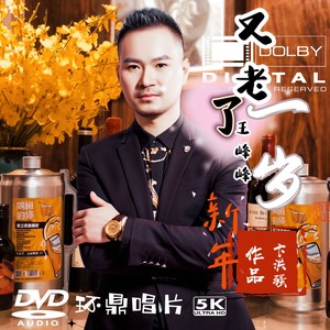 又老了一岁