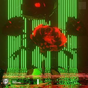 Keep Real (Explicit)