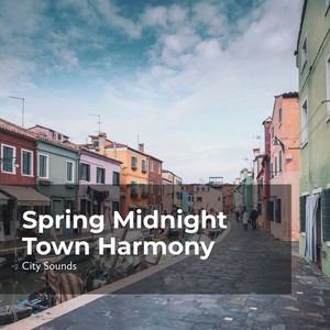 Spring Midnight Town Harmony