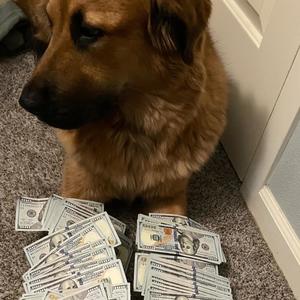 We Paid U Ain’t (Explicit)