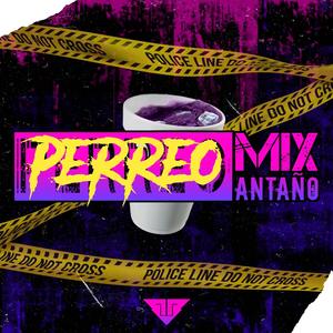 Candy Perreo (feat. Kazu) (Explicit)