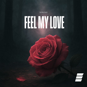 Feel My Love (Extended Mix)