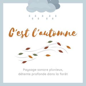 C'est l'automne: Paysage sonore pluvieux, détente profonde dans la forêt