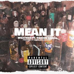 Mean It (feat. Fabien Darcy) [Explicit]