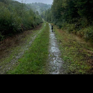 Freiheit auf zwei Rädern