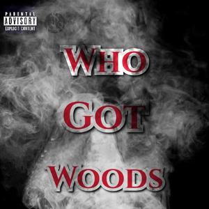 Who Got Woods (Explicit)