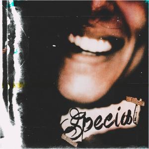 Special