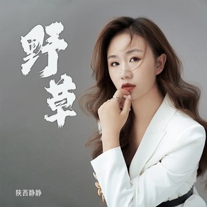 眼中钉封面