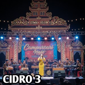 CiDRO 3