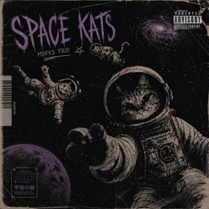 Space Kats (feat. Weedbert & Viruz) (Explicit)