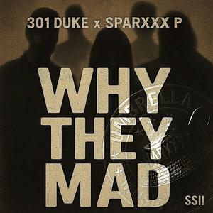Why They Mad (Enhanced) (Explicit)